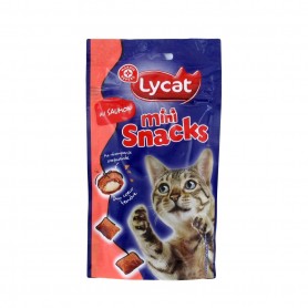 MINI SNACKS BOUCHEES AU SAUMON 60G(1044154)
