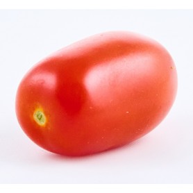Petite Tomate - 1kg