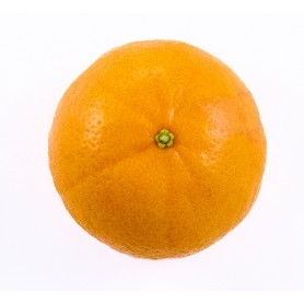Mandarine nova - 1kg