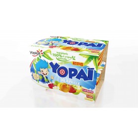 Yopai tutti frutti x12 - YOPLAIT - 1,08kg
