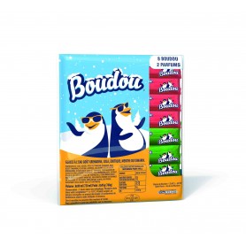 Glaces à l'eau grenadine, cola, exotique, menthe ou tamarin x8 - BOUDOU  - 760g