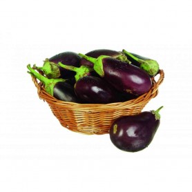 Aubergine - 1kg