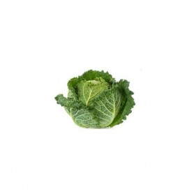 Chou vert pièce