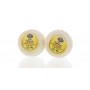 CROTTIN POITEVIN 25%MG 2X60G(1068932)