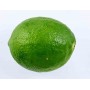 Citron vert - 1kg