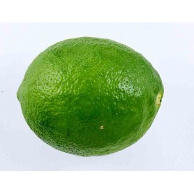 Citron vert - 1kg