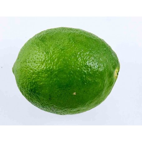 Citron vert - 1kg