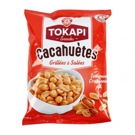 CACAHUETES GRILLEES ET SALEES 500G(1043793)