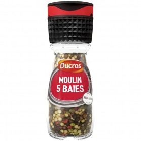 Ducros Moulin 5 Baies Doux 26g