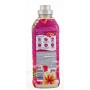 Lenor Adoucissant Gingembre et