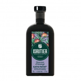 ISAUTIER DOUCEUR D'ARRANGE GATO PATATE 70 CL 17