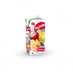 BAF MULTIVITAMINE 1L KAYAMBA 