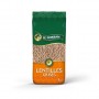 LENTILLE GRISE LF 12X1KG