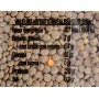 Lentilles grises - 1kg