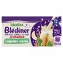 BLEDINA BLEDINER BRIQUES Légumes variés 2x250ml Dès 12 mois