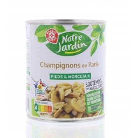 CHAMPI PIED MCX 4/4 460G PNE(1039338)