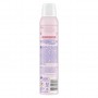 Monsavon Déodorant Anti-transpirant Spray Femme Fleur de Coton 200ml