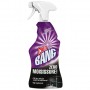 CILLIT BANG PISTOLET NETTOYANT SURPUISSANT ANTI-MOISISSURES 750 ML