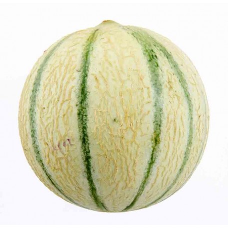 Melon - 1kg
