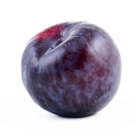Prune Rouge - 1kg