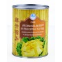 Pousse de bambou crane - PSP - 540g