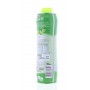 SIROP CITRON VERT BIDON 75CL(1048161)