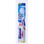 Brosse à dents medium classic clean - SIGNAL