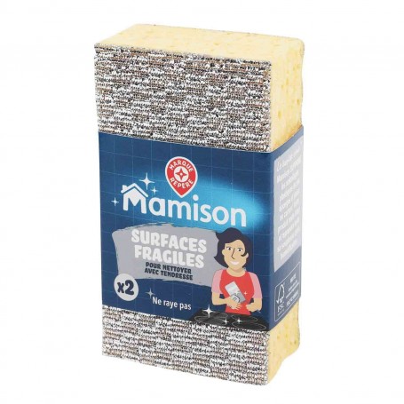 EPONGES GRATT SURFACES FRAGILES X2(1065283)
