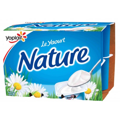 Yaourt nature x12- YOPLAIT - 1,5kg