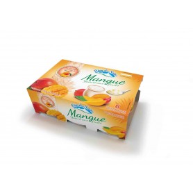 Yaourt brassé mangue x6 - PITON DES NEIGES - 750g