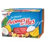Yaourts arômes des îles letchi, mangue, ananas, vanille, passion, coco x12 - YOPLAIT - 1,5kg