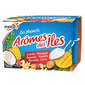 Yaourts arômes des îles letchi, mangue, ananas, vanille, passion, coco x12 - YOPLAIT - 1,5kg
