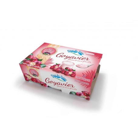 Yaourt goyavier x6 - PITON DES NEIGES - 750g