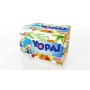 Yopai tutti frutti x12 - YOPLAIT - 1,08kg